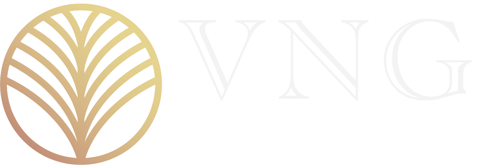 VNG Electric